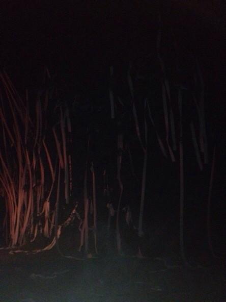 ERTPwar's tweet image. The seniors version pics of @hunterwesloh house 👌