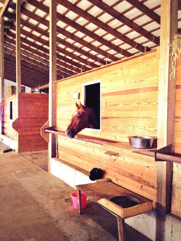 PerryRotary's tweet photo. Solid Rock Therapeutic Riding Center open house was great! 👍 Really good things happening there! #horses #therapy http://t.co/O0cO67dE6h