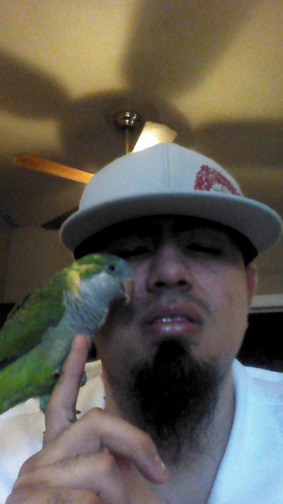 george alfaro tweet media