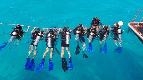 A great day with <a href="/PassionsReef/">@PassionsReef</a> ... #GreatBarrierReef