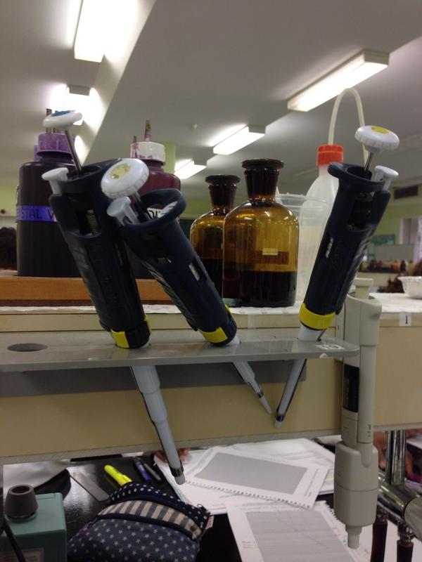 emhinton18's tweet photo. #SPHPM @BasiaDiug perfect pipette placement http://t.co/sa5mSypzJA