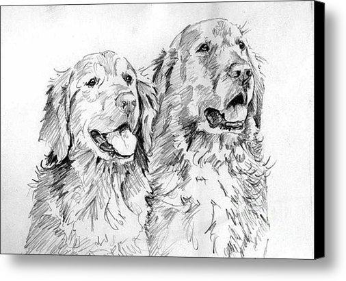dkurtz673's tweet photo. New artwork for sale! - "Golden Retriever Pair" - http://t.co/JuERDSspAd @pixelswebsite http://t.co/3XEV9zrizu