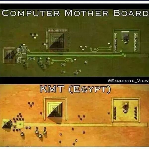 Donald Radinovic tweet media