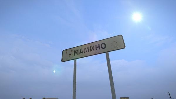 DayZLeaks tweet picture