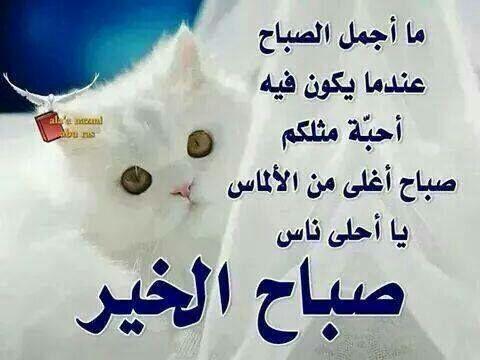 BoyWolfboy050's tweet photo. صباح الخير http://t.co/YamBk3ERDH