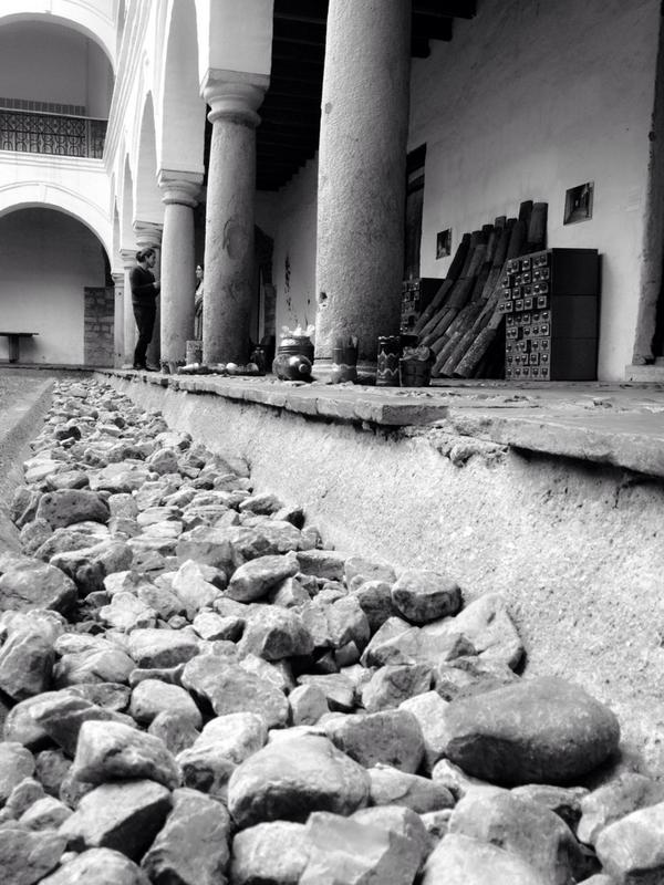 Martha D. Maldonado tweet media