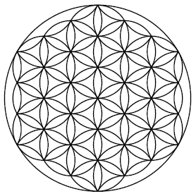 madrina's tweet photo. The  charm  flower of light http://t.co/p9fdndVLT5
