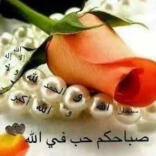 dsf_2011 tweet picture