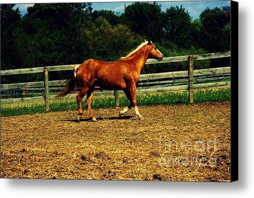 dkurtz673's tweet photo. New artwork for sale! - "On the Move" - http://t.co/XS0yzEy40H @pixelswebsite http://t.co/dPaaOOLR1z