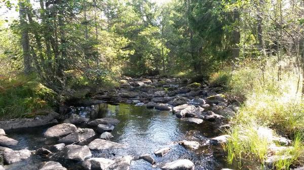 Little Rock Lake AB (@swedenzipline) on Twitter photo 