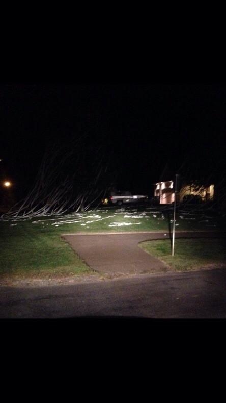 ERTPwar's tweet image. Bull dozing @AlisonBoser