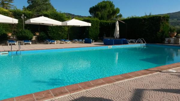 RubyhuesDesign's tweet image. Nothing like an early morning swim to start the day!