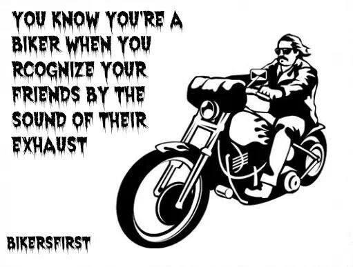 JustCustomBikes's tweet image. Ride Free
