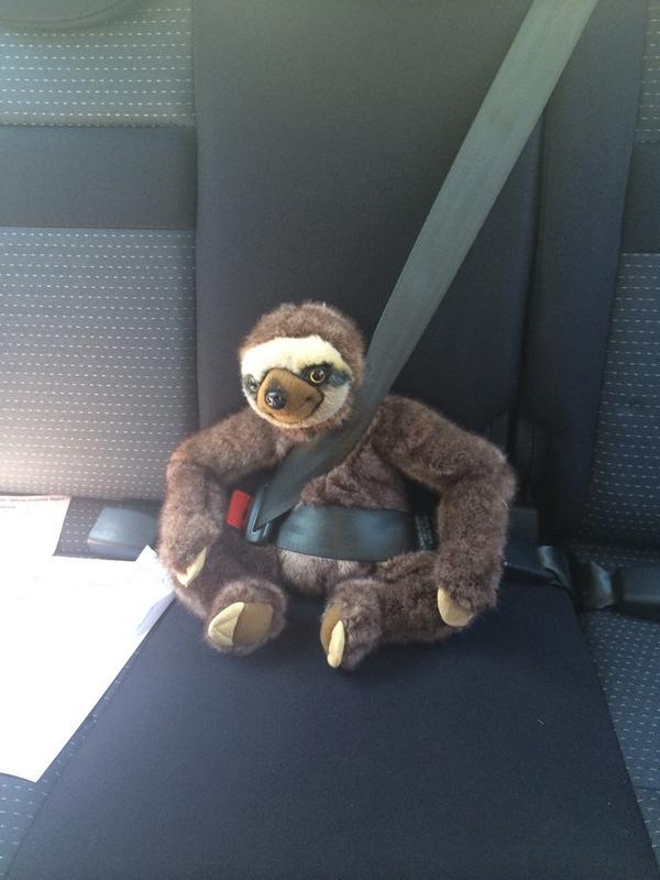 sophhesk's tweet photo. Harry made sure Neal had a safe journey to the Goldcoast hahaha!!!! @sofaworksUK #littleneal http://t.co/AZGKvEJRc9