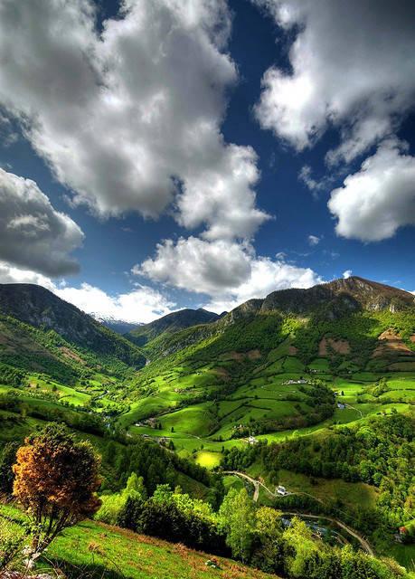 #View-xie