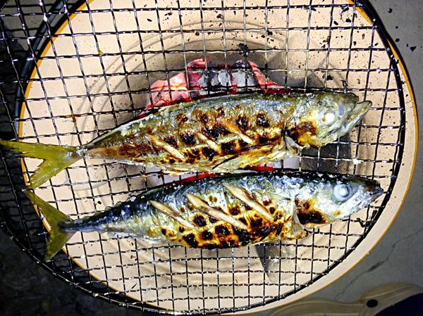 shinnriko's tweet photo. 本当に美味しい魚が食べたくて、七輪の炭火で昨日釣った鯵と小鯖を焼きました。
IHヒーターのグリルでは、こんな焼き目はつきません。
遠... (釣魚料理  炭火で焼き魚) http://t.co/CkgGLwnDas #SnapDish http://t.co/5GcvQDylnI
