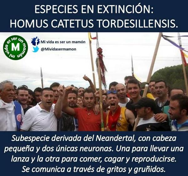 lauriiis92's tweet photo. @AytoTordesillas http://t.co/Cm9KDhKuE3