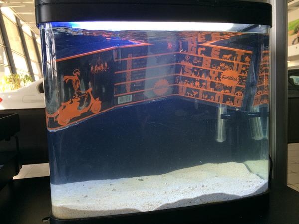 BrumaMINIFamily's tweet photo. Tank set up, just waiting for our #goldfish @GoldFishLive. Atleast our fish will enjoy the music! http://t.co/Dte2w3XfZN