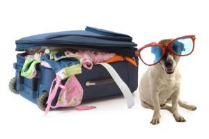 ruralyplaya's tweet photo. Vacaciones rurales para todos.
Escapada Rural con tu familia , amigos y tu mascota.http://t.co/phrYfVb7kW http://t.co/2txHxJL8HV
