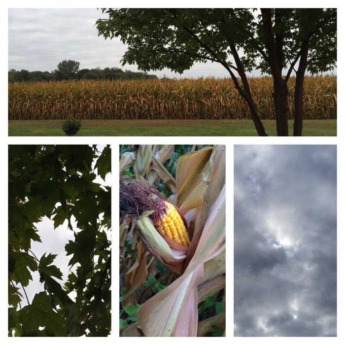 Goodbye #Ohio! It's been fun and such a great vacay :) http://t.co/3lQtxHP5fu<a href="/tag/ohio"class="tags">#Ohio</a>