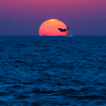 Photo by UberPhotos (@UberPhotographs)