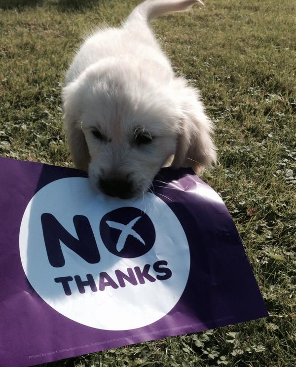 I'm with Archie! #NoThanks