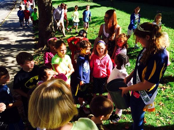 PSchiebel's tweet image. 