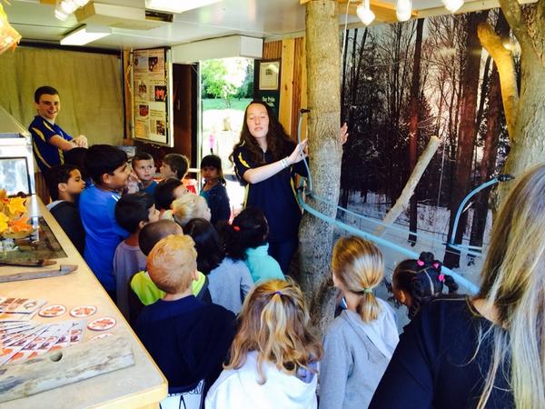 PSchiebel's tweet image. 