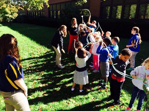 PSchiebel's tweet image. 