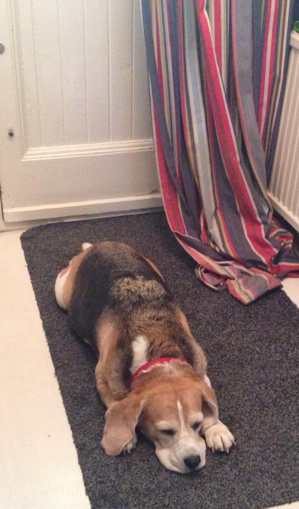 Nope, I won't move. You are no going anywhere without me !