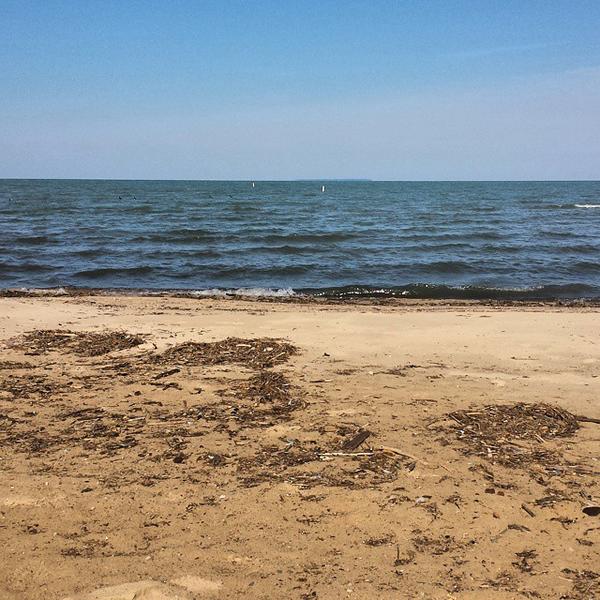 SS_Bistro's tweet photo. We meet again Saginaw Bay and #LakeHuron! #Caseville #mittenlove #beach by elatlboy http://t.co/A9Rw1NTBAB