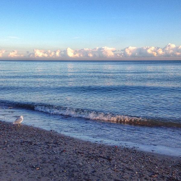 SS_Bistro's tweet photo. I can't drive by this lake at sunrise and not stop and take in the wonder of this resource. I love Lake Erie.

#l... http://t.co/oORUp9LbpS
