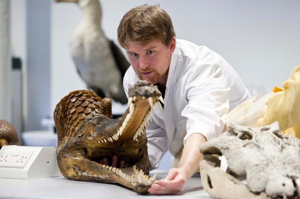 UCC's tweet photo. Meet an alligator's cousin in UCC on Culture Night on Friday. More http://t.co/vcf8WCP9Mi @CultureNiteCork  @uccBEES http://t.co/HF96uQIocA