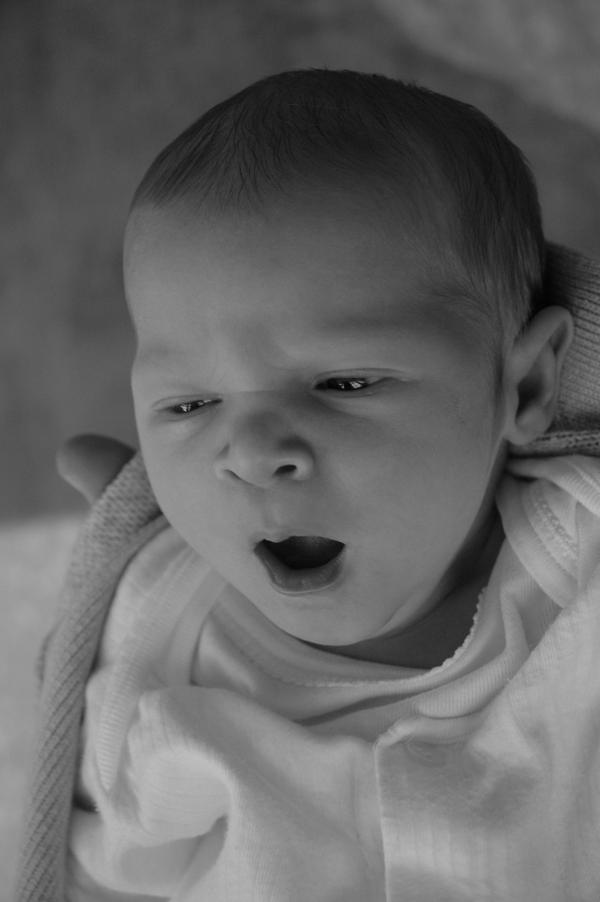 buildingfeasts's tweet image. Welcome Seth born 5.9.14 Thanks @Nigella_Lawson @inagarten @davidlebovitz &amp;amp; @AliceMedrich for nesting treats #seeblog