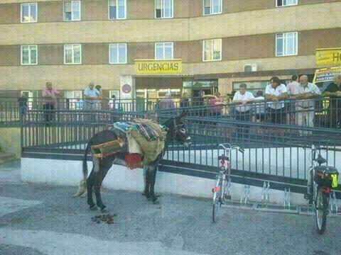 ConciertosenSal's tweet photo. ¿Parking de bici? :D #Salamanca
http://t.co/NUyJyEFduv http://t.co/XNix6kDR00