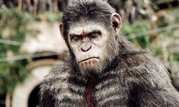 bwadsworthmusic's tweet image. That's it. I'm ready for war with EE! #phonetrouble #riseoftheplanetoftheapes #apes #caesar #war #phoneprovider