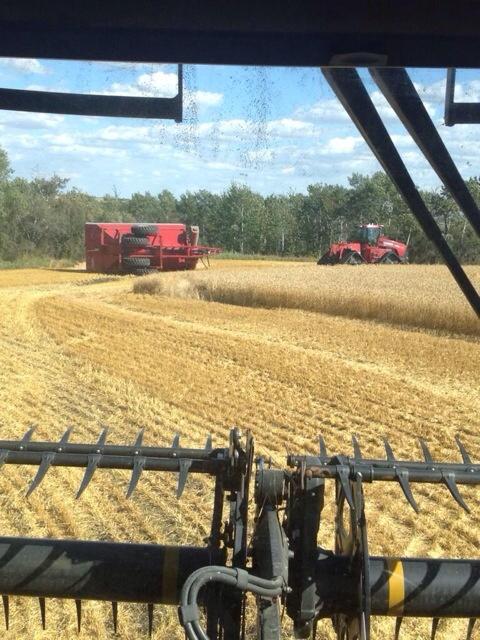 Caption this photo.... Dads gonna shit!