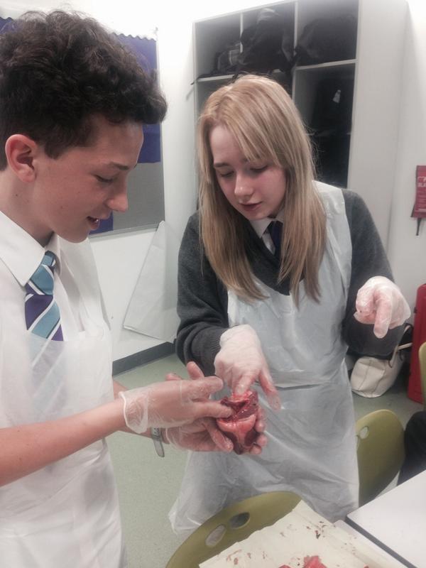 MissRowanNewman's tweet photo. My #SuperScientists #11aSc1 and 11bSc2 #PluckDissections http://t.co/dZDKaQ0a7b