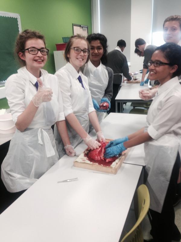 MissRowanNewman's tweet photo. My #SuperScientists #11aSc1 and 11bSc2 #PluckDissections http://t.co/Y4fEU3QMKb