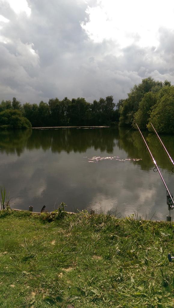 chris_bradshaw (@ccbrads) on Twitter photo 