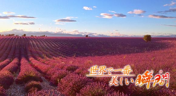 ヨーロッパ旅行 情報部 Auf Twitter 本日 9 18 夜9時 Nhk Bs P 世界で一番美しい瞬間 香りの女王に包まれるとき フランス プロヴァンス 夏 ラベンダーが大地を紫色に染める ゴッホが愛したひまわりも満開 Http T Co 3s9qsoeh4l Http T Co