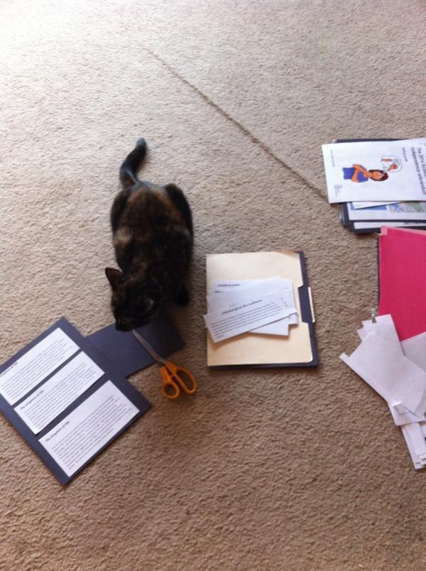 Tomorrow we role play Scotland and the Vote. Peggy tried to help me prepare. CC: @VisitScotland #TexasTeaching