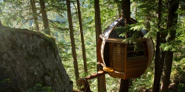 These epic tree houses are pretty much guaranteed to make every single kid jealous huff.to/1r016tS