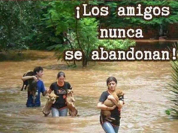 mjoseflors's tweet photo. no se abandonan http://t.co/HOmcoE4NeW