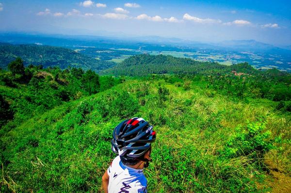 eight bolt tweet media