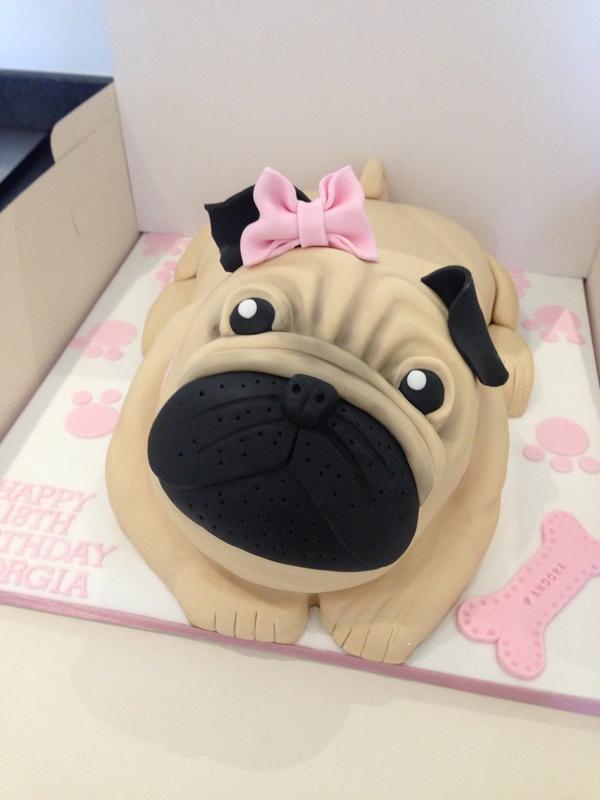 RebakersCakes's tweet photo. Meet pandora! 🐶 http://t.co/JnNfBYgbQZ