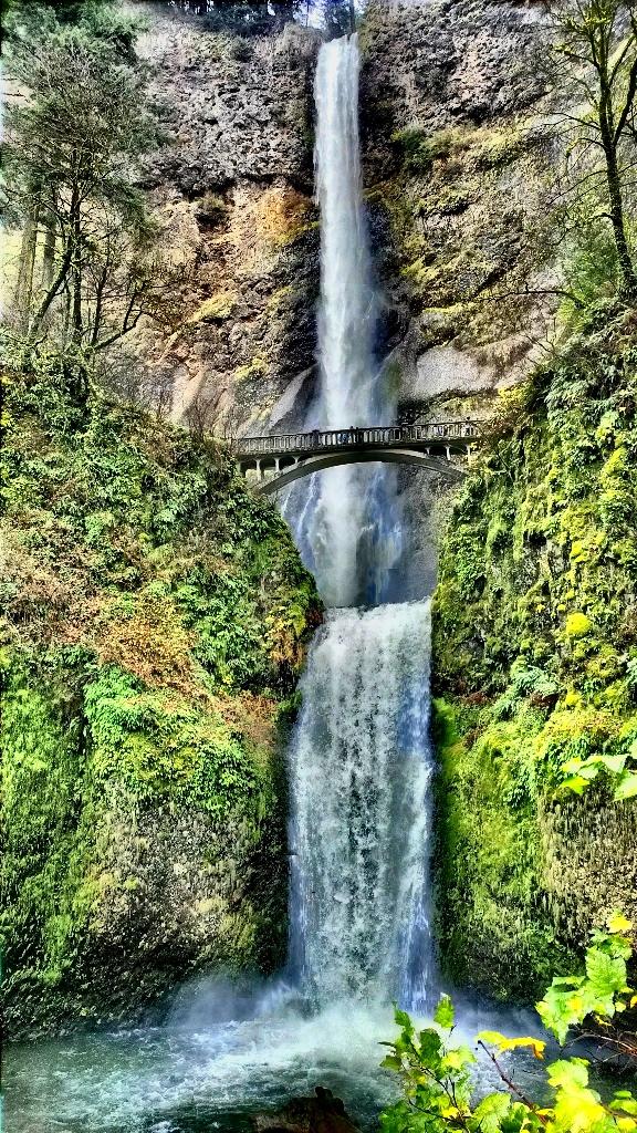 StevenPerkins_'s tweet image. #WPCpc #HDRWPC just more pics for your eyeballs.