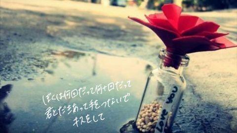 Back Number 歌詞画botさん の人気ツイート 6 Whotwi グラフィカルtwitter分析 Back Number 歌詞画botさん の人気ツイート 6 Whotwi グラフィカルtwitter分析