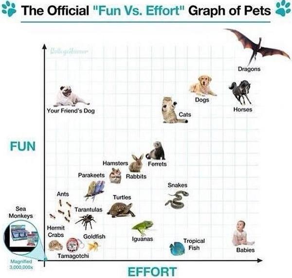 VetWorldProblem's tweet image. 