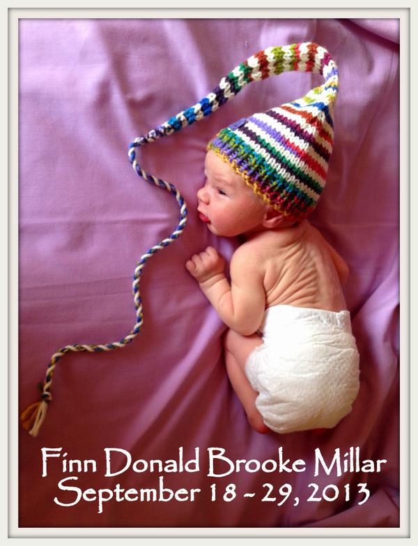 FinnsLibrary's tweet image. &quot;but then there was a star danced, and under that I was born.&quot;~Shakespeare
#FinnsLittleFreeLibrary #LittleFreeLibrary